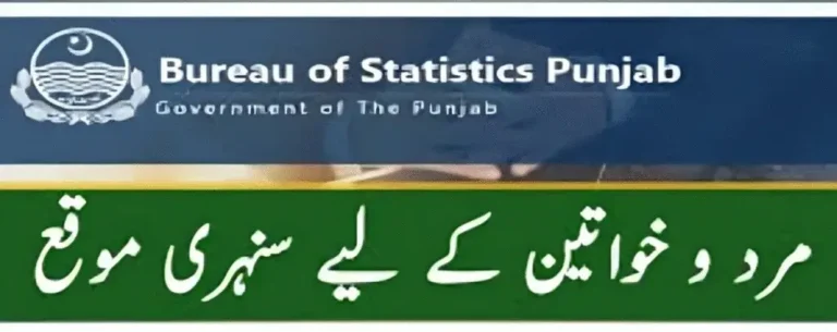 Bureau of Statistics Punjab Jobs 2025 – Apply Online for Team Supervisor & Enumerator