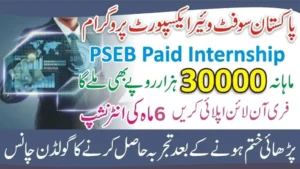 Read more about the article PSEB Apprenticeship Program 2025 – Turn Knowledge into Experience with Digital Pakistan