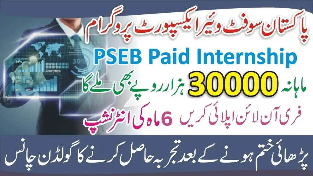 Read more about the article PSEB Apprenticeship Program 2025 – Turn Knowledge into Experience with Digital Pakistan