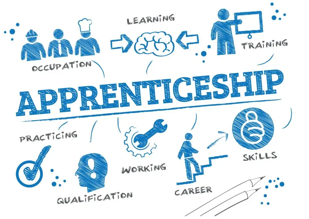 Read more about the article Packages Apprenticeship Training Program 2025–2027 | Apply Now