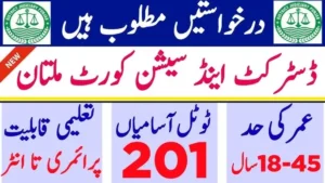 Read more about the article District and Session Court Multan Jobs 2025 – Apply Online