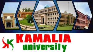 Read more about the article University of Kamalia jobs 2025